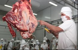La carne ovina paraguaya también podría exportarse pronto a Israel