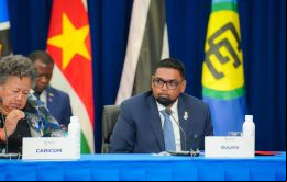 Caricom tiene la responsabilidad de hacer todo lo posible, dijo Ali