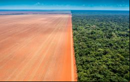 La Amazonia y el Cerrado representaron más del 85% del área deforestada; este último por sí solo representa el 61%.